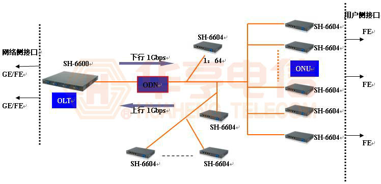 SH-6600EPON产品(图2)